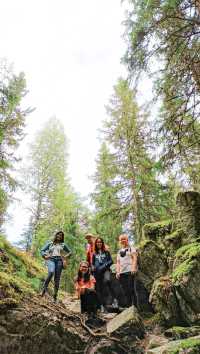Foraging Adventure in Finnish National Park 🇫🇮 🍓🍄🌲