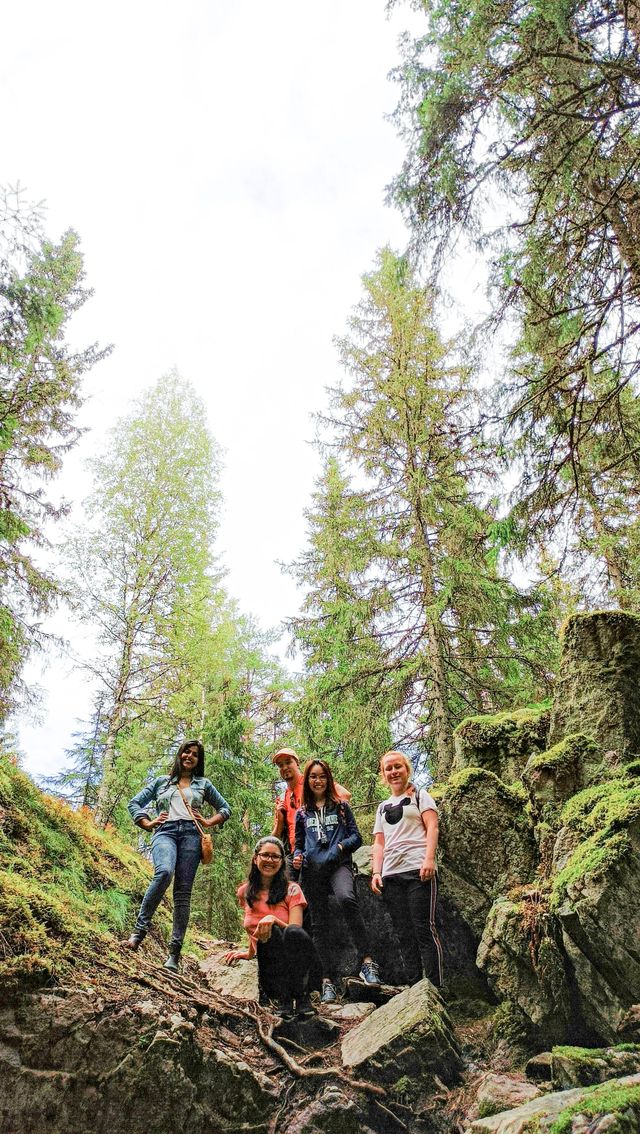 Foraging Adventure in Finnish National Park 🇫🇮 🍓🍄🌲