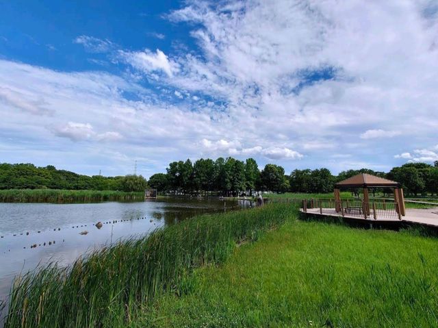 舍人公園