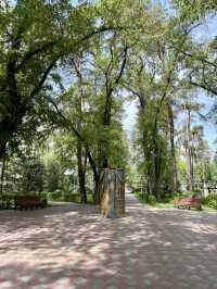 Spring Stroll at Pine Park, Almaty