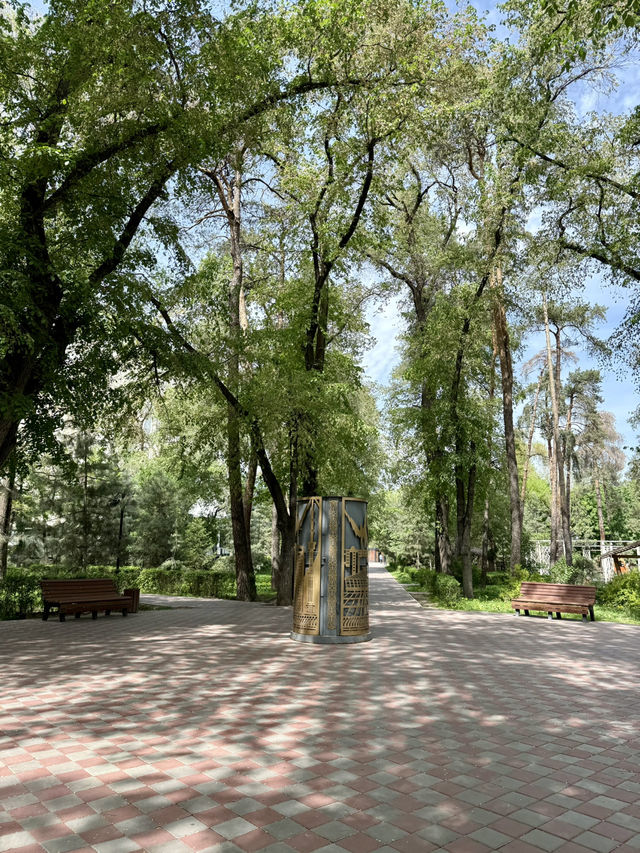 Spring Stroll at Pine Park, Almaty