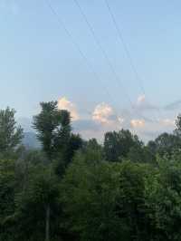 Standing in peace, where faith meets nature’s shade.