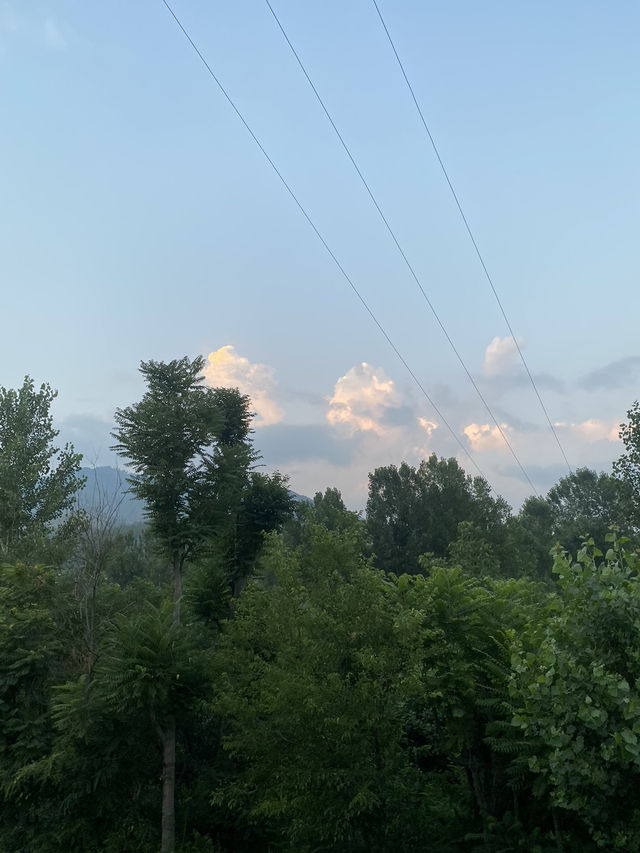Standing in peace, where faith meets nature’s shade.