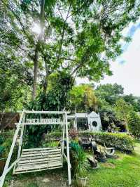 🌿✨ Naduei Café & Restaurant - คาเฟ่เล็กๆ 