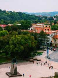 🚗💶 Explore Vilnius with Ride-Sharing: Smart, Easy & Budget-Friendly! 🇱🇹✨