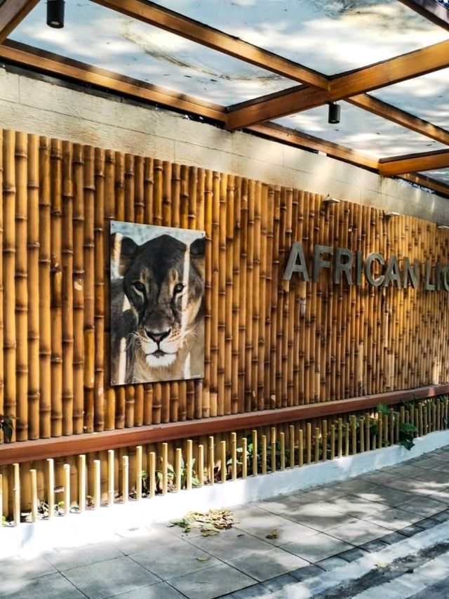 🦁 Urban Wildlife Escape – Manila Zoo, Philippines
