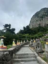 🌊 Western Jeju Day Trip: Nature, Culture & Matcha ☁️