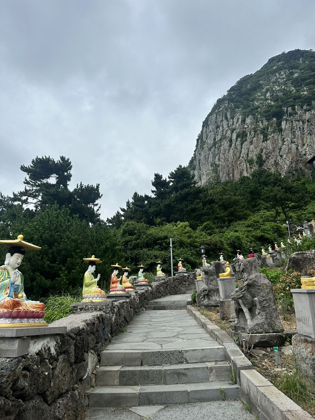 🌊 Western Jeju Day Trip: Nature, Culture & Matcha ☁️
