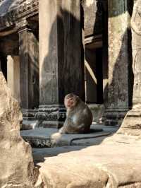 Angkor Wat – Sunrise Magic & Ancient Wonder 🌅🏰