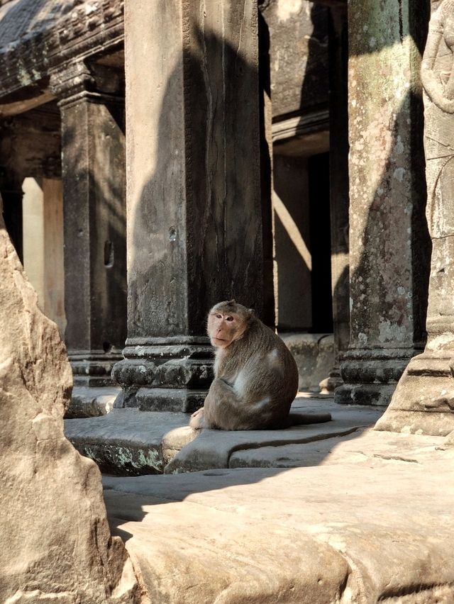 Angkor Wat – Sunrise Magic & Ancient Wonder 🌅🏰