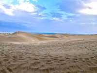 🏜️ 大自然の奇跡:マスパロマス砂丘(Dunas de Maspalomas🌅
