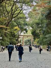 This Japan itinerary hits Tokyo’s coolest neighborhoods