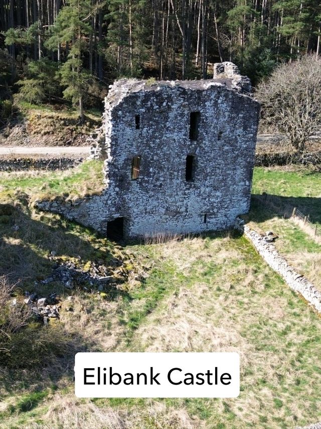 Elibank Castle 🏰