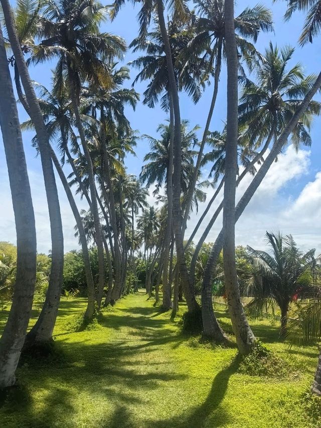 Мальдивы с малышом Мальдивы с малышом
