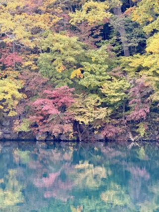 Tripcom Autumn Joy🍂  