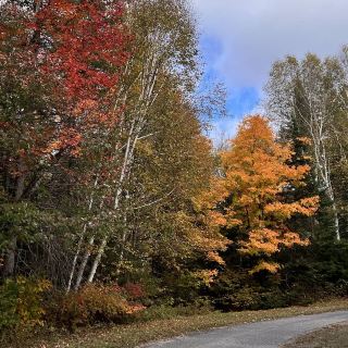 Algonquin Provincial Park