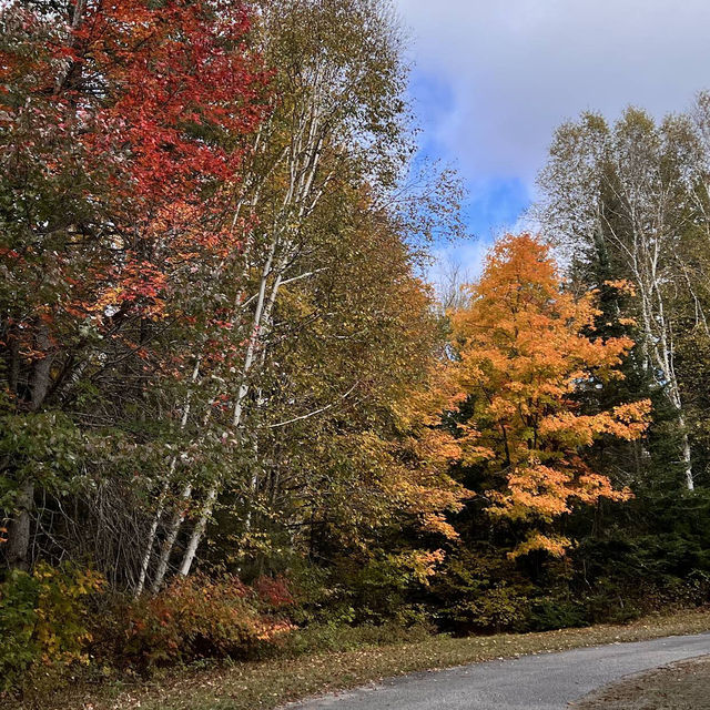 Algonquin Provincial Park Algonquin Provincial Park