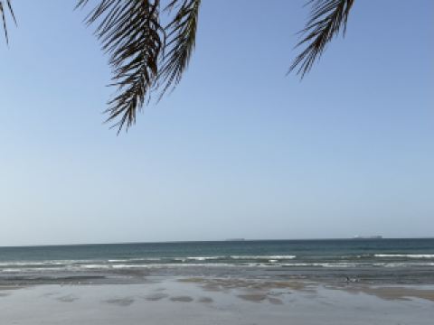 馬斯喀特旅遊指南