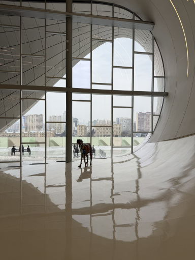 Baku Art Wonders🎨 | Trip.com Baku