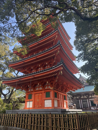 Solo in Fukuoka — 2 Slow Winter Days