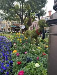 Springtime Shanghai Disney Resort🐭🎡🎪
