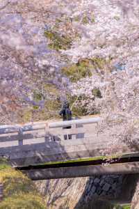 Kyoto Travel | The falling flowers and flowing water, Kyoto in spring is so romantic.