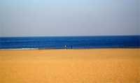 Sand, sunshine, golden powder, and a golden beach.