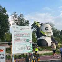 Summer At Chengdu To See Cute Pandas