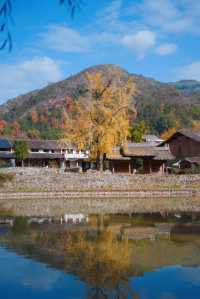 初冬的嶼北,在質樸之外,是斑斕的色彩