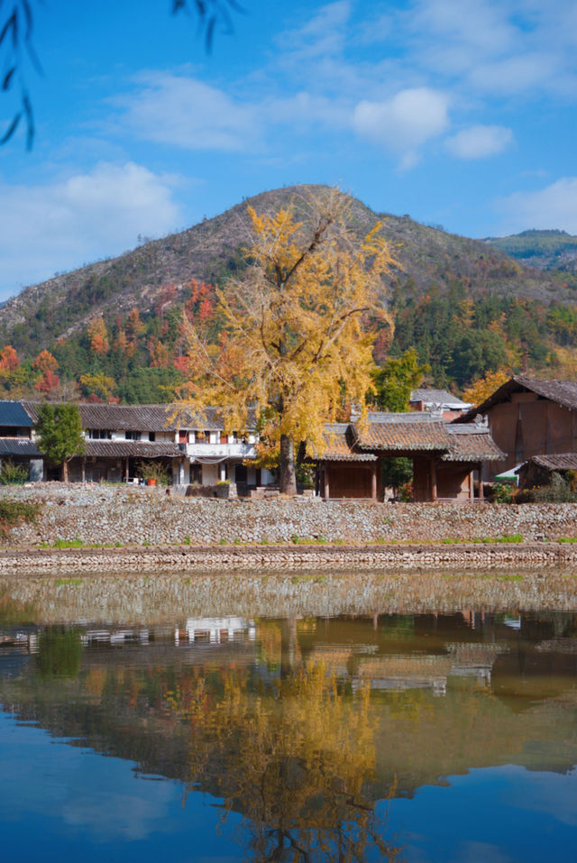 初冬的嶼北,在質樸之外,是斑斕的色彩 初冬的嶼北,在質樸之外,是斑斕的色彩