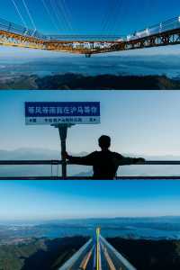 三聲尖叫，開啟滬馬樂園探險之旅