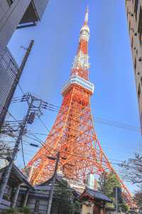 東京塔這些不排隊的機位怎麼沒人拍啊