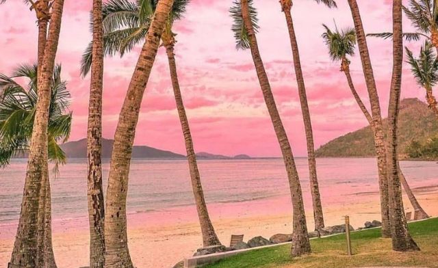 科莫多島旅遊必看攻略!! 科莫多島旅遊必看攻略!!