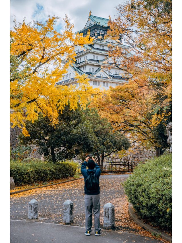 日本關西最具人氣景點，同樣也是賞秋好去處