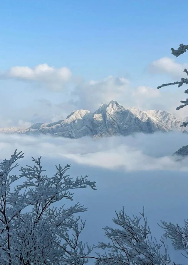 你不宣傳這個你糊塗啊！冬天爬華山絕了！