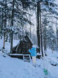 這個冬天總要去趟北國冰城看雪吧！