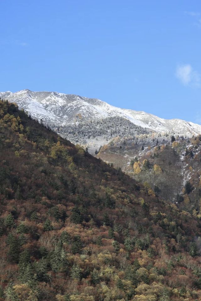 週五下班一起去康定泡溫泉吧