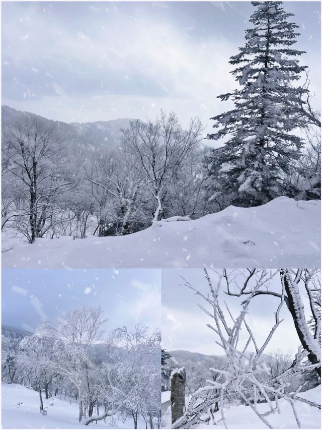 大型光影舞台滑雪體驗機微縮冰雪景觀