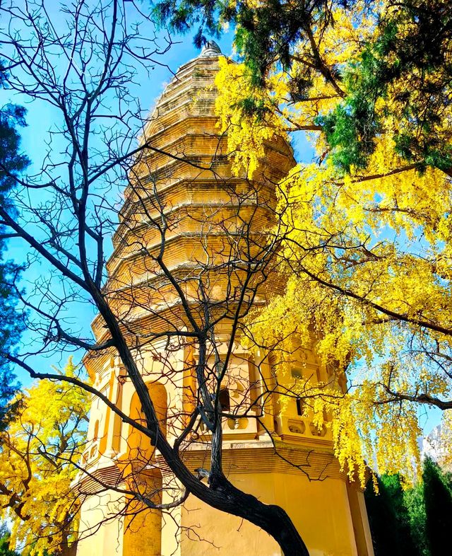 秋天的法王寺