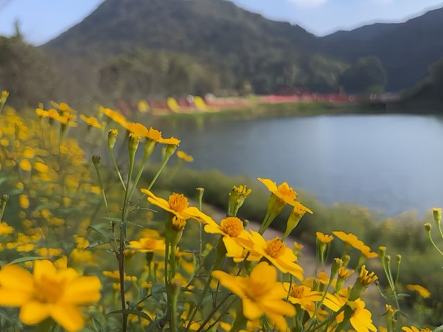 石門國家森林公園