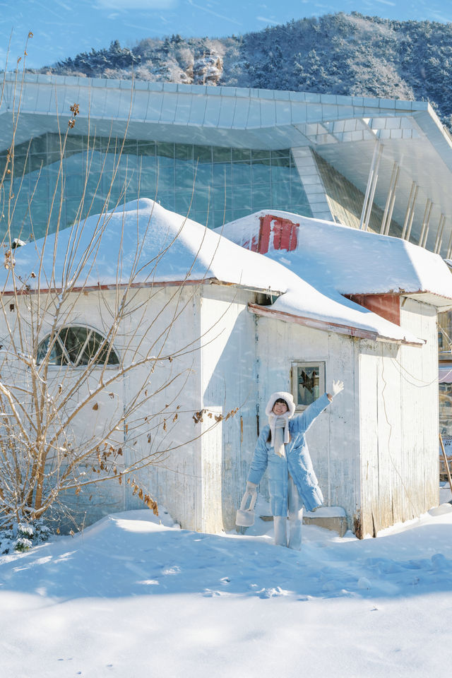 不用去塞納河畔雪後大連的星海廣場好美！