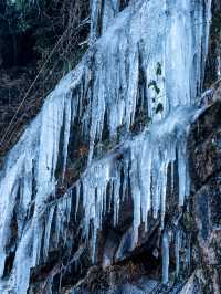 原本以為浙西天池雪景已經夠美了！