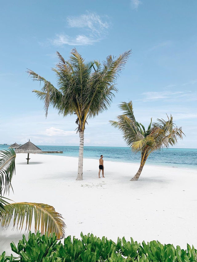 Maldives: A dream escape under the blue sea and sky! 🏝️✨🌊