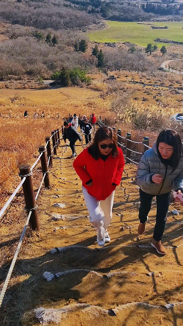 韓國濟州島｜晨星嶽 小火山