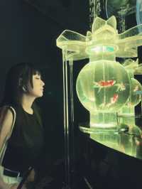 東京不可錯過銀座金魚展！市區最夯出片景點