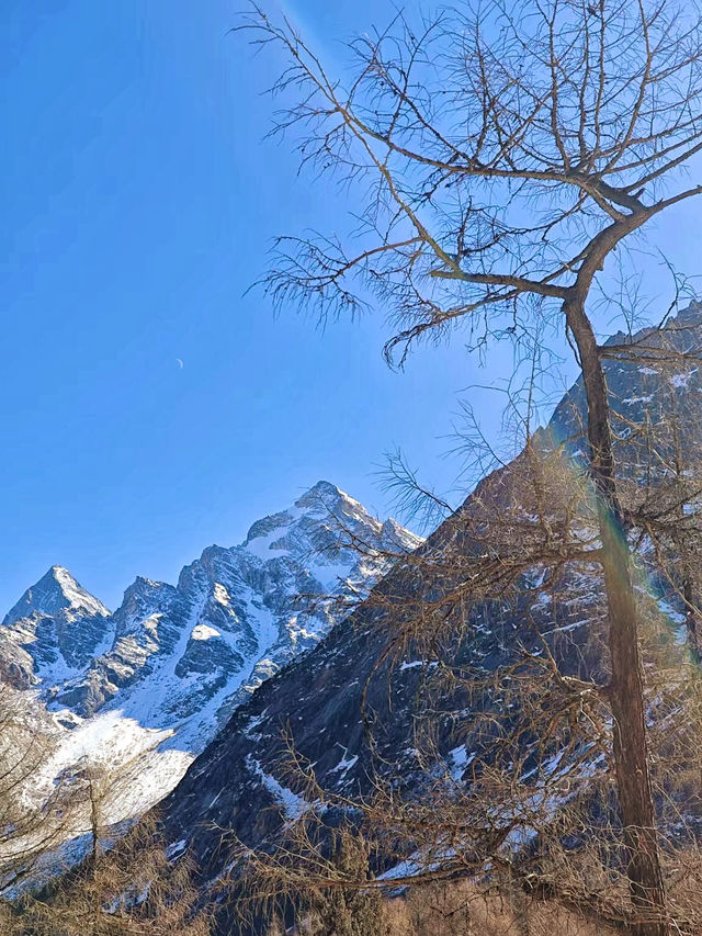 畢棚溝的冬天，只緣身在此山中