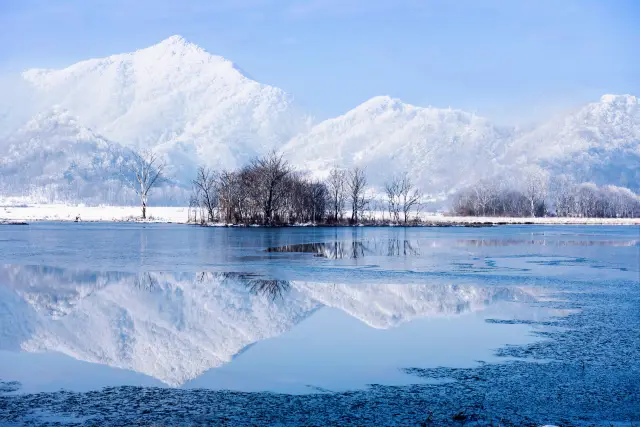 Shennongjia rime intoxicates visitors on the branches, encountering your ice and snow romance