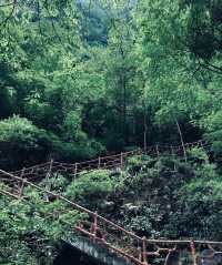 百崖大峡谷，位於廣西來賓市武宣縣東鄉鎮境內，距武宣縣城38公里，是廣西區級風景名勝區，有“廣西九寨溝”之稱