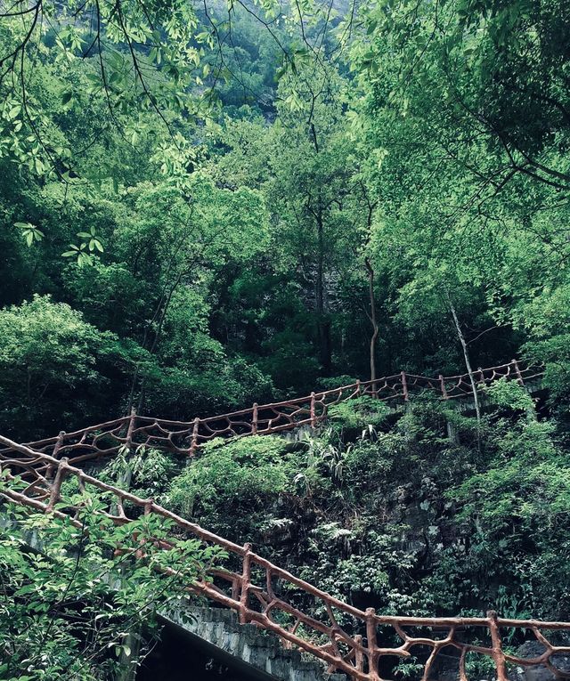 百崖大峡谷，位於廣西來賓市武宣縣東鄉鎮境內，距武宣縣城38公里，是廣西區級風景名勝區，有“廣西九寨溝”之稱