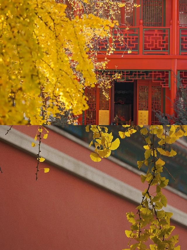 南京，這座古老而又充滿活力的城市，就像一顆閃耀的明星，吸引著無數遊客